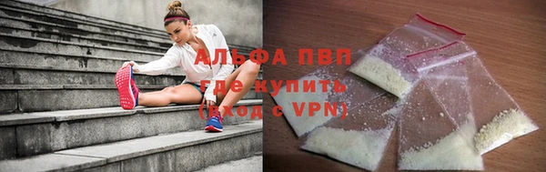 индика Заволжье