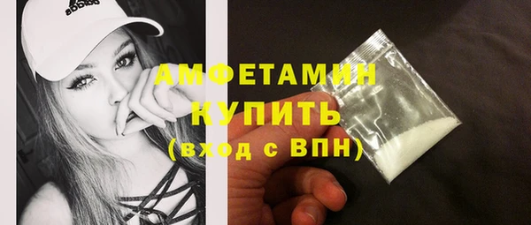 индика Заволжье