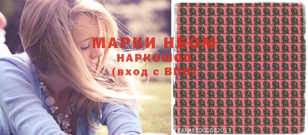 молекула духа Зеленодольск