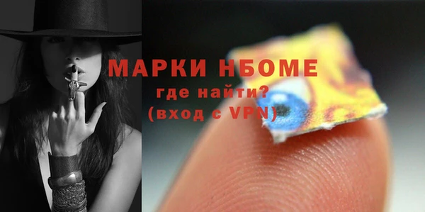 индика Заволжье