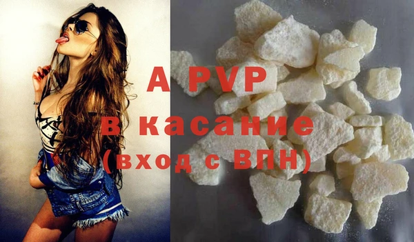индика Заволжье