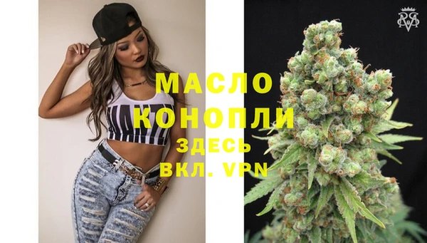 индика Заволжье