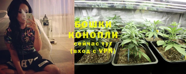 индика Заволжье