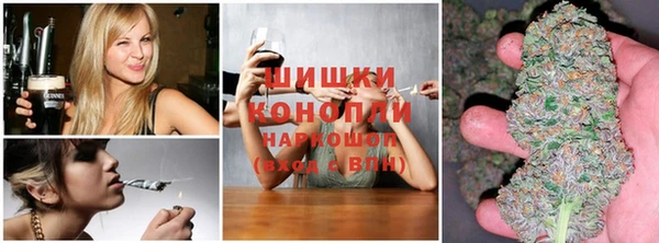 индика Заволжье