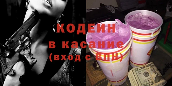 индика Заволжье