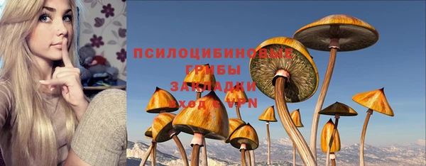 трава Заводоуковск